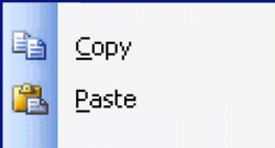 Copy - Paste