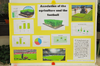 Association of the agriculture and the football 
