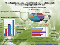 Összefüggés vizsgálata a régiók területe és a betakarított szőlőmennyiségek között 2011-ben